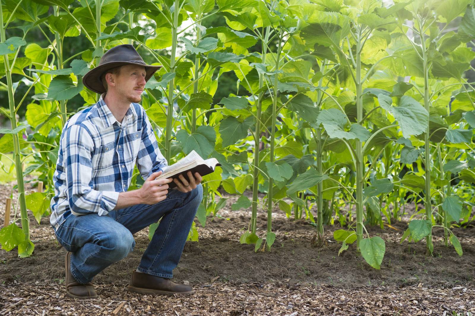 Noah Sanders reading the Bible in his garden