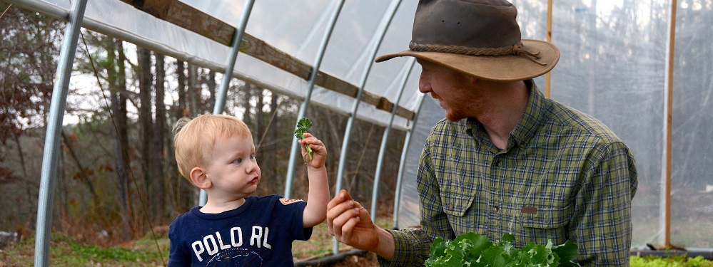 Noah Sanders in the greenhouse, handing a sprig of kale to his young son