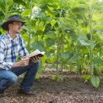 6 Keys to Successful Christian Agriculture