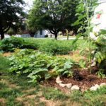 Is Your Garden a Distraction from the Great Commission?