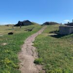 Homesteading and Handouts